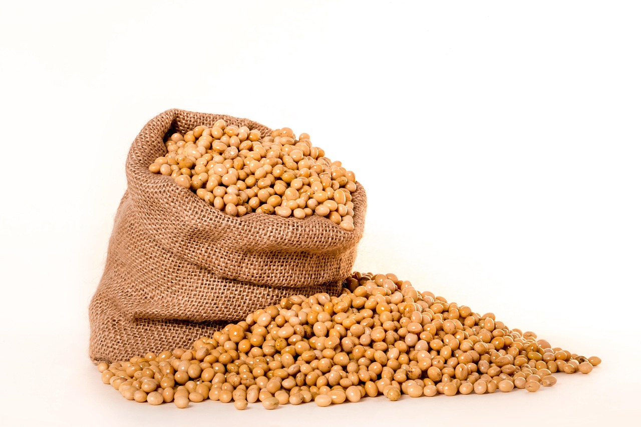 soybeans, nature, plants, seeds, bag, burlap, grain, oil, beans